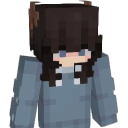 Minecraft-Avatar von NNotHope: Büste