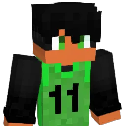 NO4HZIN Minecraft avatar bust