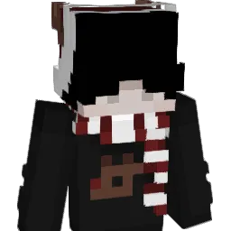 NOIS1__ Minecraft avatar bust