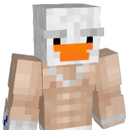 NOTDITTO Minecraft avatar bust