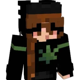 NOTmeri Minecraft avatar bust