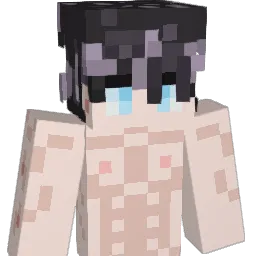 NPCharacter's Minecraft skin