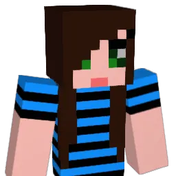 NPCs Minecraft avatar bust