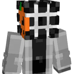 NPL_PRANISH Minecraft avatar bust