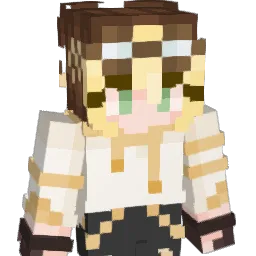 NPva0403 Minecraft avatar bust