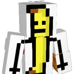 NSG_SilencerZ Minecraft avatar bust