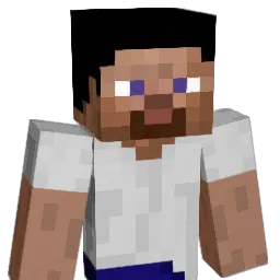 NSHidden Minecraft avatar bust