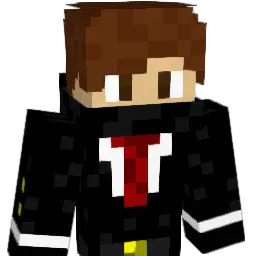 NSerry Minecraft avatar bust
