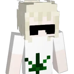 NTLC Minecraft avatar bust