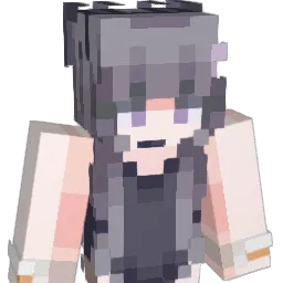NTMSQZM Minecraft avatar bust