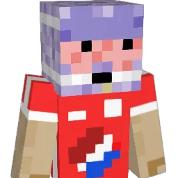 NUEC1 Minecraft avatar bust