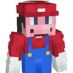 NUGETS_good Minecraft avatar bust
