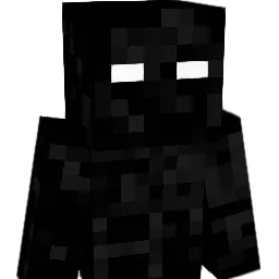 NULL232321321 Minecraft avatar bust