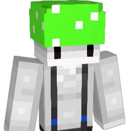 NVQ's Minecraft skin