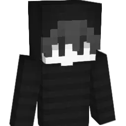 NXL666 Minecraft avatar bust