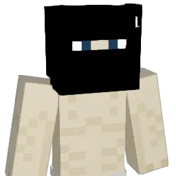 NYC_Puck Minecraft avatar bust