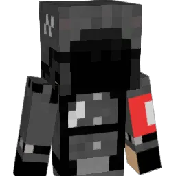 NYG4 Minecraft avatar bust