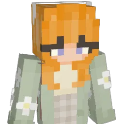 NYGRabidKoala Minecraft avatar bust