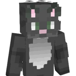 NZT24 Minecraft avatar bust