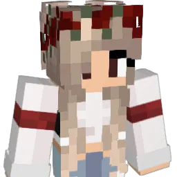 N_R_M11 Minecraft avatar bust