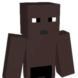 N_gg_r Minecraft avatar bust