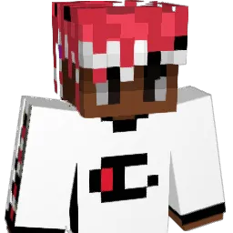 N_qoii Minecraft avatar bust