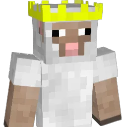 Naadi100 Minecraft avatar bust