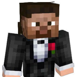 NachoChips145 Minecraft avatar bust