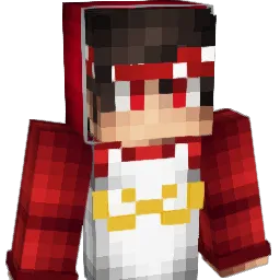 Nachtara_gamer's Minecraft skin