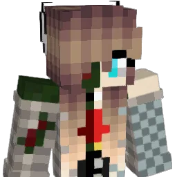 Nachtblitz0789 Minecraft avatar bust
