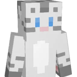 Nachtrae's Minecraft skin