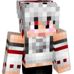 Naekon Minecraft avatar bust