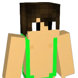 Nahmaschin Minecraft avatar bust