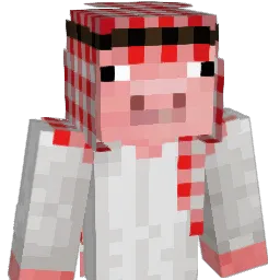 Naicol204 Minecraft avatar bust