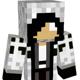 Naitsabes98 Minecraft avatar bust