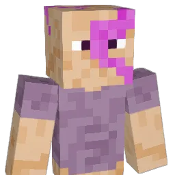 NajBlyambaGang Minecraft avatar bust