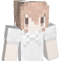 Nal3824 Minecraft avatar bust