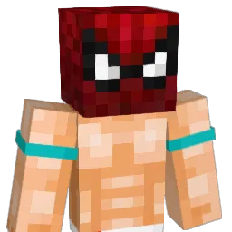 NamKyoG Minecraft avatar bust