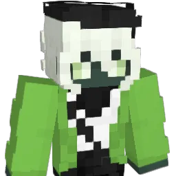 Name_1233 Minecraft avatar bust