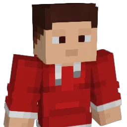 Named28 Minecraft avatar bust