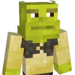 Nameless_lie Minecraft avatar bust