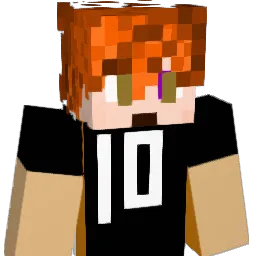 NamiOnRoblox Minecraft avatar bust