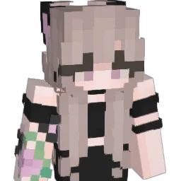 NamidaSaki Minecraft avatar bust