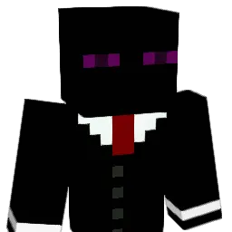 NamylZ Minecraft avatar bust