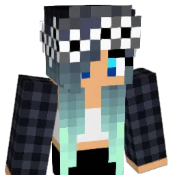 Nanax3x3 Minecraft avatar bust