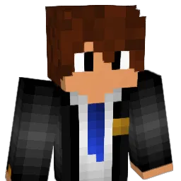NanoaltoWGF Minecraft avatar bust