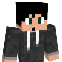 Nanox_ Minecraft avatar bust