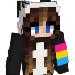 Napa11 Minecraft avatar bust