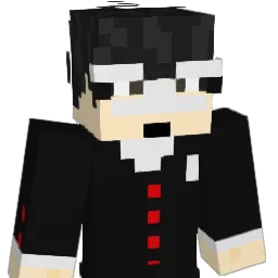 NapiSolo Minecraft avatar bust