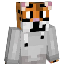 NapsZ Minecraft avatar bust